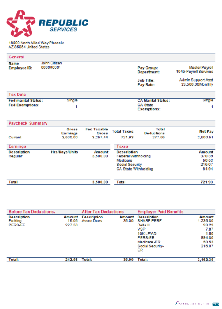 Download USA Republic Services waste management company pay stub Photoshop template